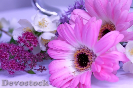 Devostock Love Romantic Flowers 53475 4K