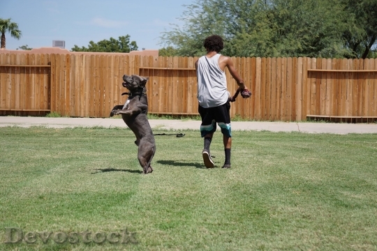 Devostock Man Person Animal Training Dog 4K
