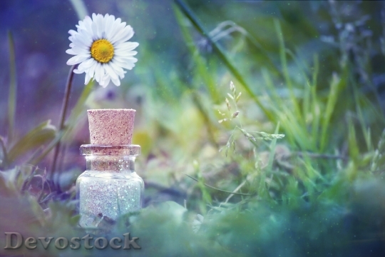 Devostock Nature Glass Grass 45873 4K