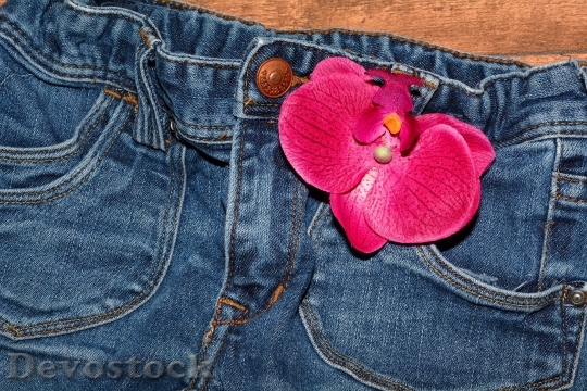 Devostock Petals Jeans Flower 4076 4K