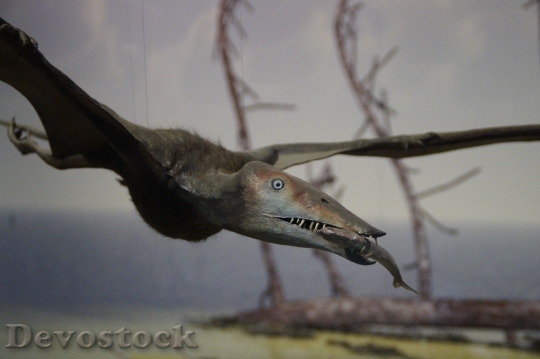 Devostock Pterosaur Fishing Prey Eat HD