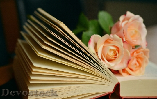Devostock Romantic Flowers Books 26182 4K