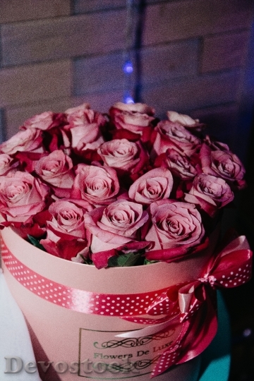 Devostock Romantic Flowers Gift 123341 4K