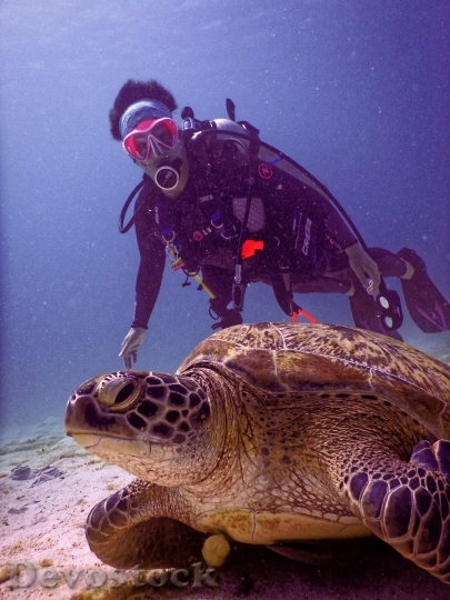 Devostock Sea Person Sand Underwater Turtle 4K