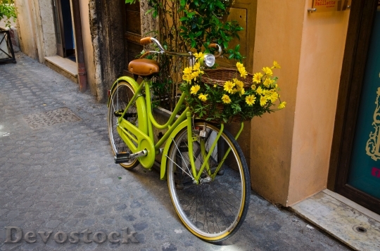 Devostock Street Flowers Bike 19035 4K