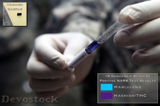 Devostock Hashish Presumptive Drug Test