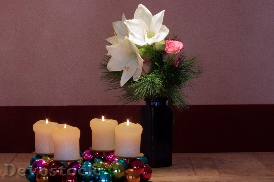 Devostock Advent Wreath Amaryllis hite 4K
