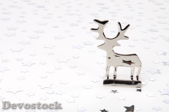 Devostock Animal Background Christmas 5778 4K