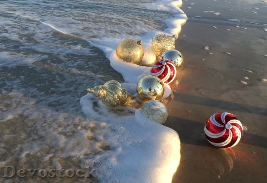 Devostock Beach Christmas Ornaments Hoiday 4K