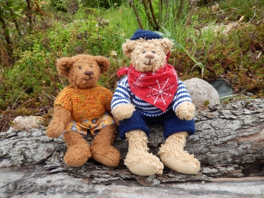 Devostock Bear Teddy Bears Toys Friends 1714 4K.jpeg