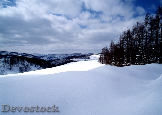 Devostock Beautiful Winter Landscape Wth 1 4K