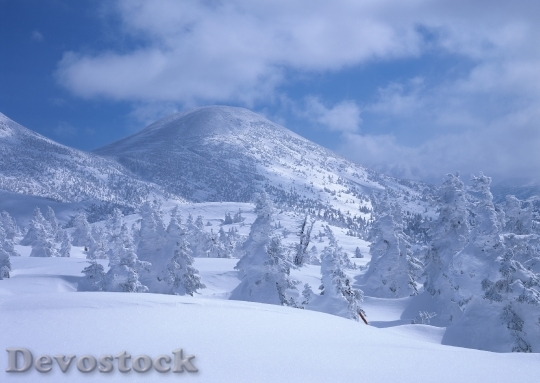 Devostock Beautiful Winter Landscape Wth 4 4K