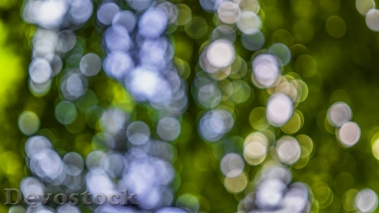 Devostock Bokeh Blur Background Out Of Focus 957035 4K.jpeg