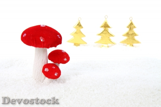 Devostock Celebration Christmas Decoration 5834 4K