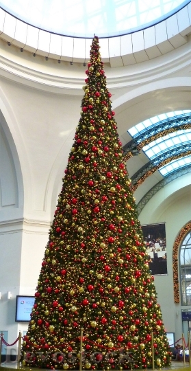 Devostock Christmas Christmas Tree 106858 4K
