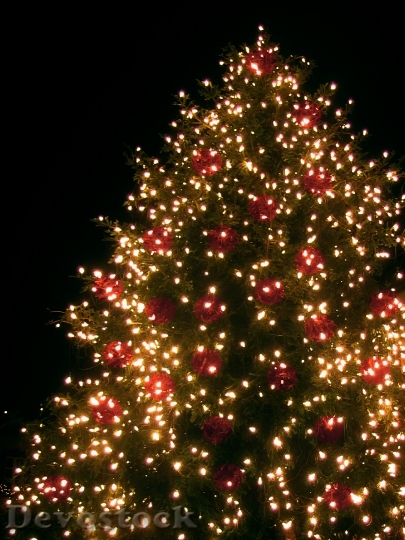 Devostock Christmas Christmas Tree 4180 4K