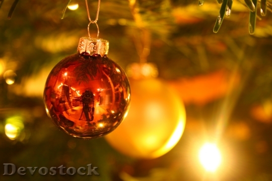 Devostock Christmas Christmas Tree Backgound 4K