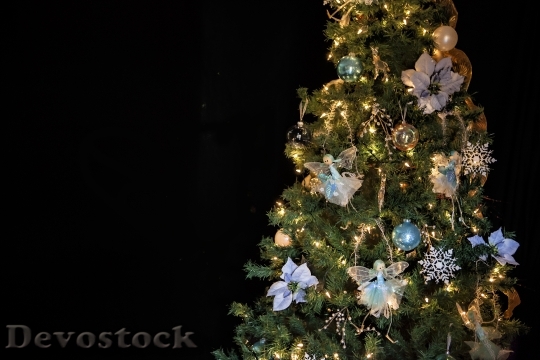 Devostock Christmas Christmas TreePine 4K
