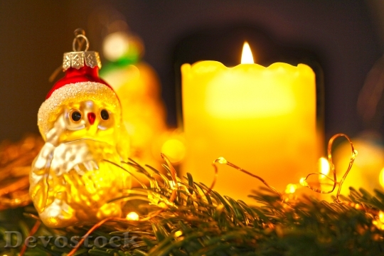 Devostock Christmas Decoration Romanti Owl 4K