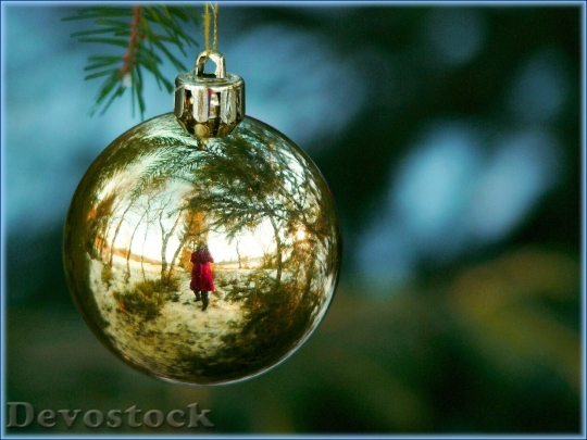 Devostock Christmas Decorations 34254 4K