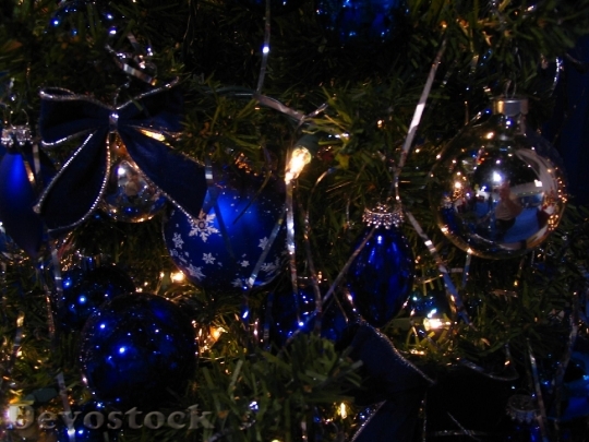Devostock Christmas Decorations WithBlue 4K