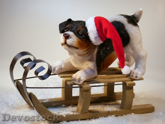 Devostock Christmas Dog Christma Dog 4K