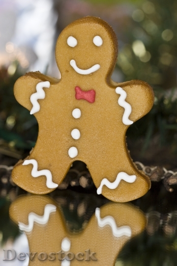 Devostock Christmas Gingerbread Man 45505 4K
