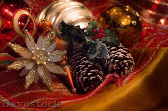 Devostock Christmas Holidays Decoration 77804 4K