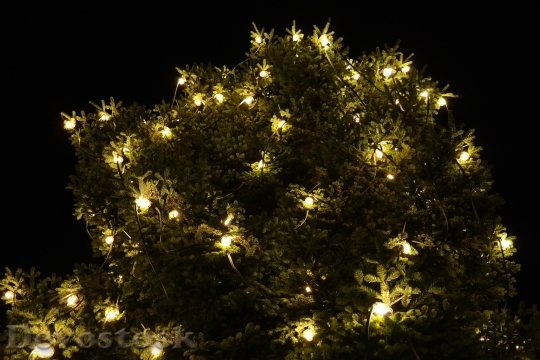 Devostock Christmas Lichterkette Tree 22194 4K