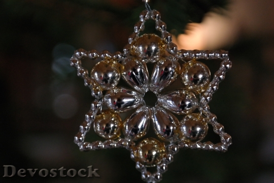 Devostock Christmas Ornament Beads 69655 4K