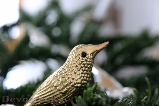 Devostock Christmas Ornaments BirdGold 4K