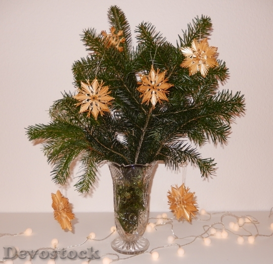 Devostock Christmas Pine BouquetStar 4K