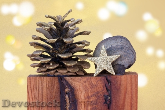 Devostock Christmas Pine ConesStar 4K