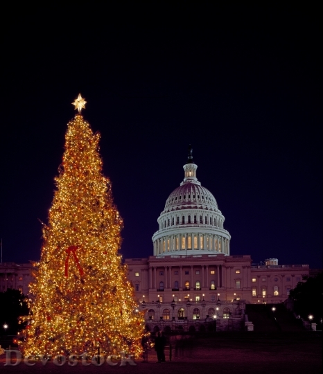 Devostock Christmas Tree Capitol Buiding 4K