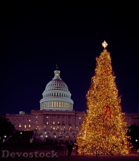 Devostock Christmas Tree Capitol Buildng 0 4K