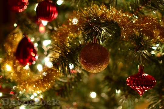 Devostock Christmas Tree Christmas 110237 4K