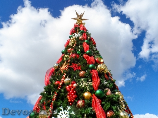 Devostock Christmas Tree Christmas Holidys 1 4K