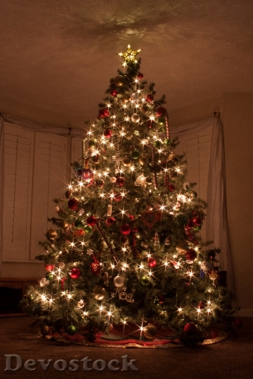 Devostock Christmas Tree Christmas Lghts 4K