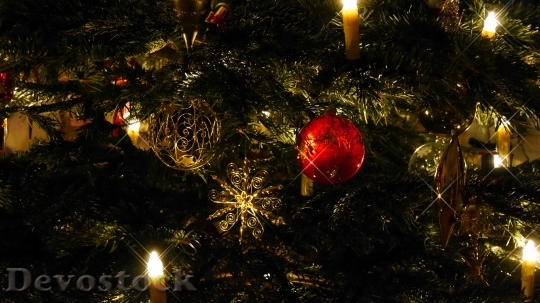Devostock Christmas Tree Christmas Sparle 0 4K