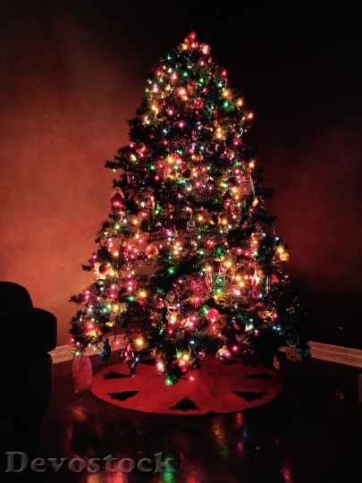 Devostock Christmas Tree Christmas Tee 2 4K