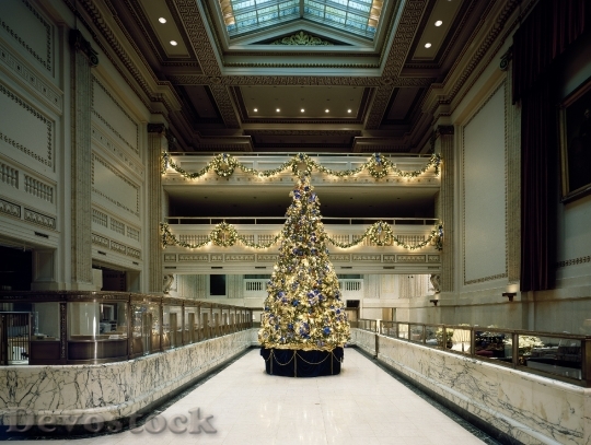 Devostock Christmas Tree Decorations Lghts 4K
