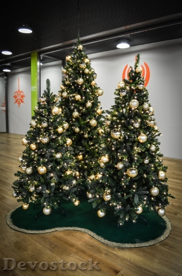 Devostock Christmas Tree Holidays Chritmas 4K