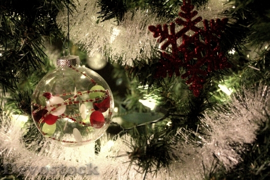 Devostock Christmas Tree Ornament 95597 4K