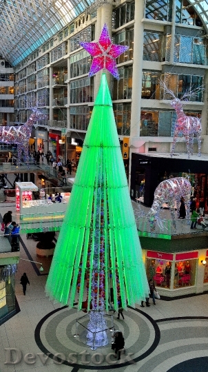 Devostock Christmas Tree Toronto Decortion 4K