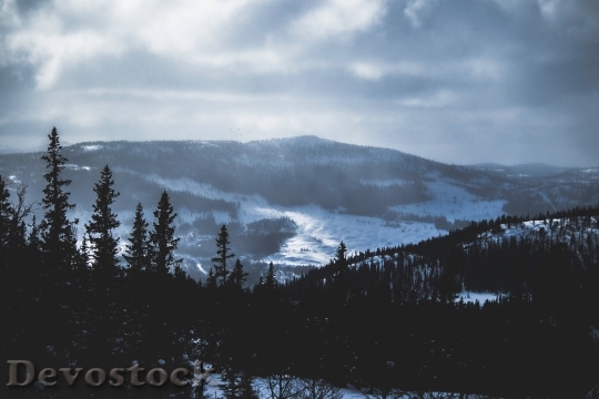 Devostock Cold Snow Landscape 94805 4K