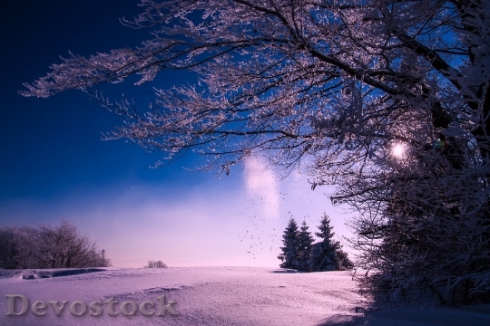 Devostock Cold Snow Light 26081 4K