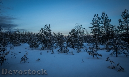 Devostock Cold Snow Light 53306 4K
