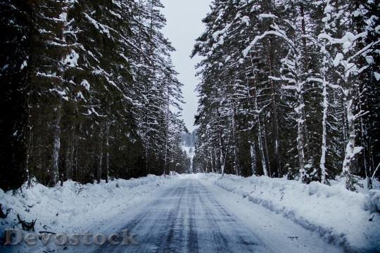 Devostock Cold Snow Road 90784 4K