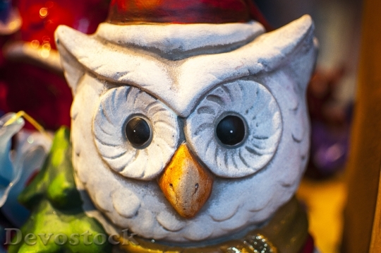 Devostock Decoration Owl OrnamentXmas 4K