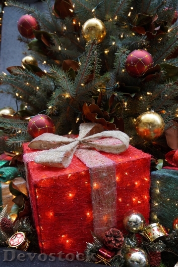 Devostock Gifts Christmas Winte New 4K